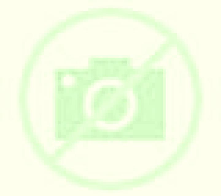 Adriana Barasoain escort