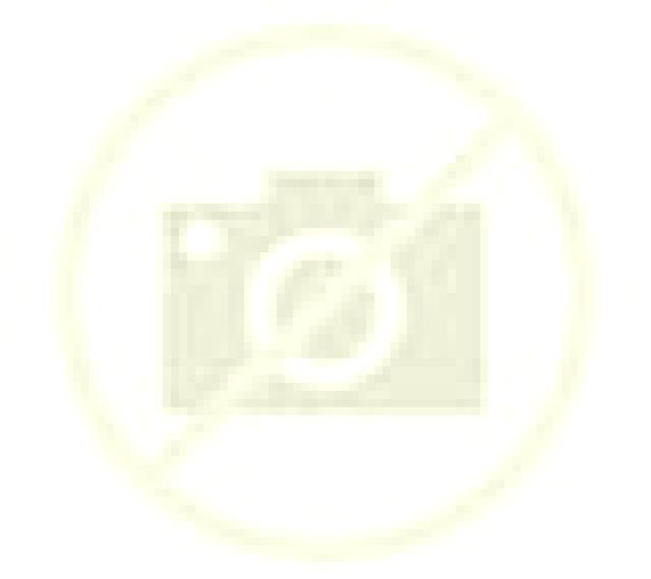 Adriana Fresnedoso escort