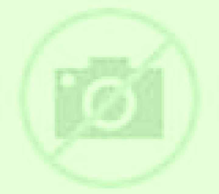 Adriana Sarrion escort