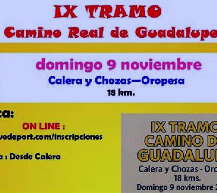Aitana 3 Puerto Seguro escort