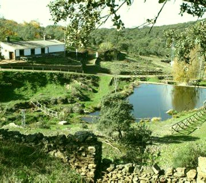 Alba 2 Cogolludo escort