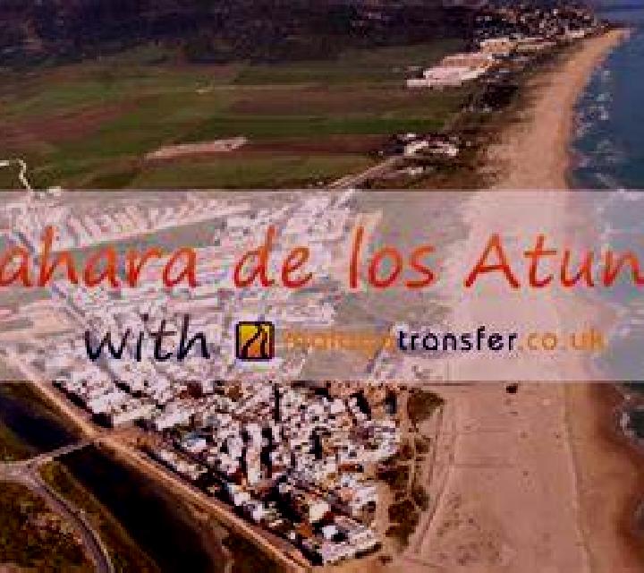 Alba 2 Somolinos escort