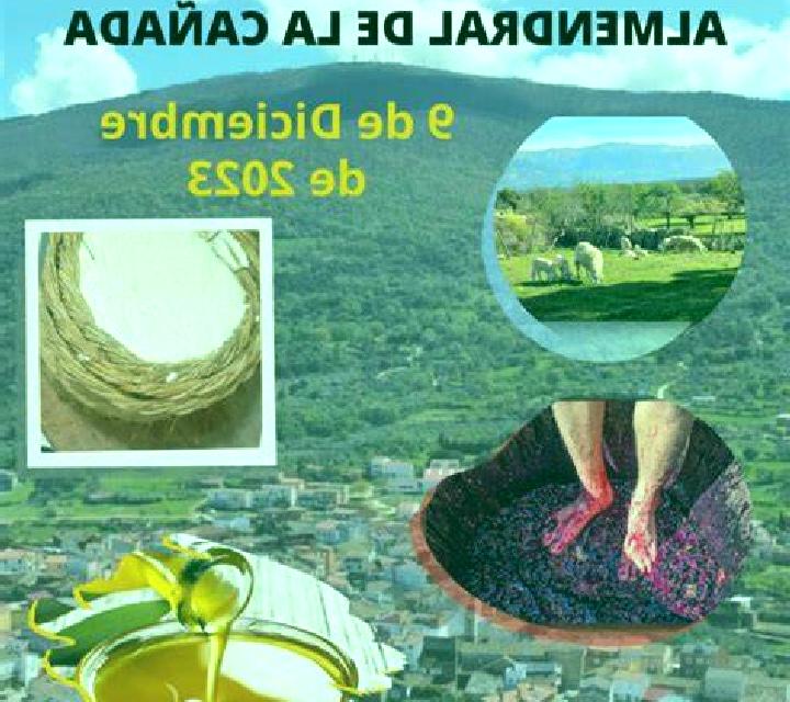 Alba Moguer escort
