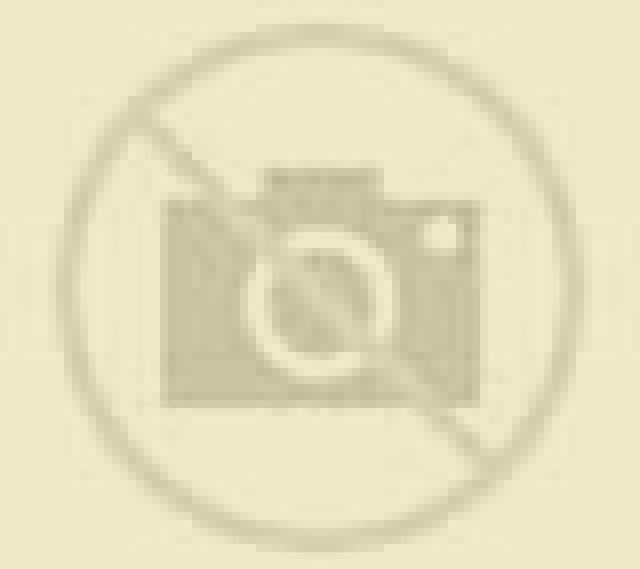 Alejandra 3 Gallegos escort