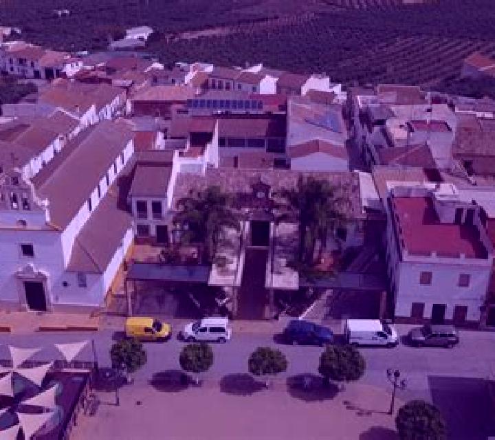 Alejandra 3 Guimar escort