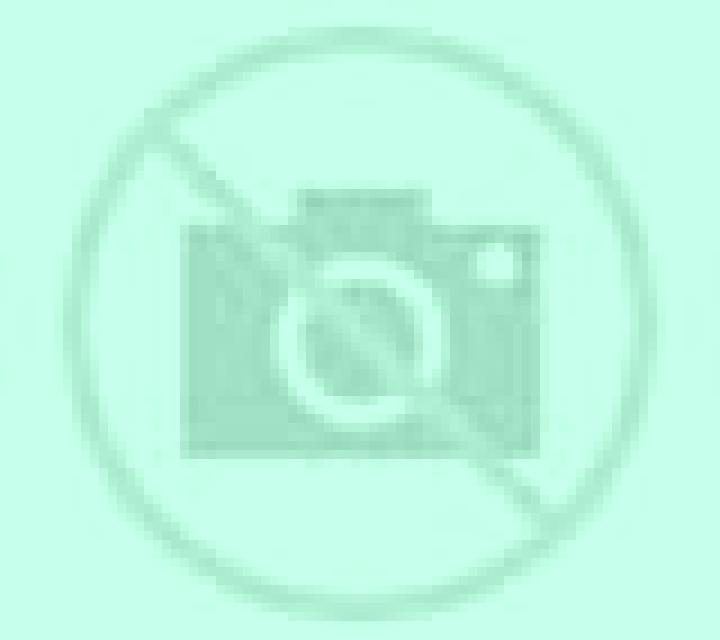 Alejandra 3 Vizcainos escort