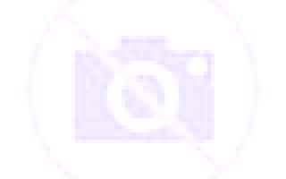 Amanda Lerga escort