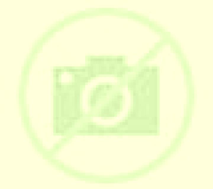 Andrea 2 Hurones escort