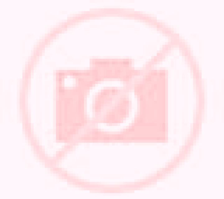 Andrea 3 Teror escort