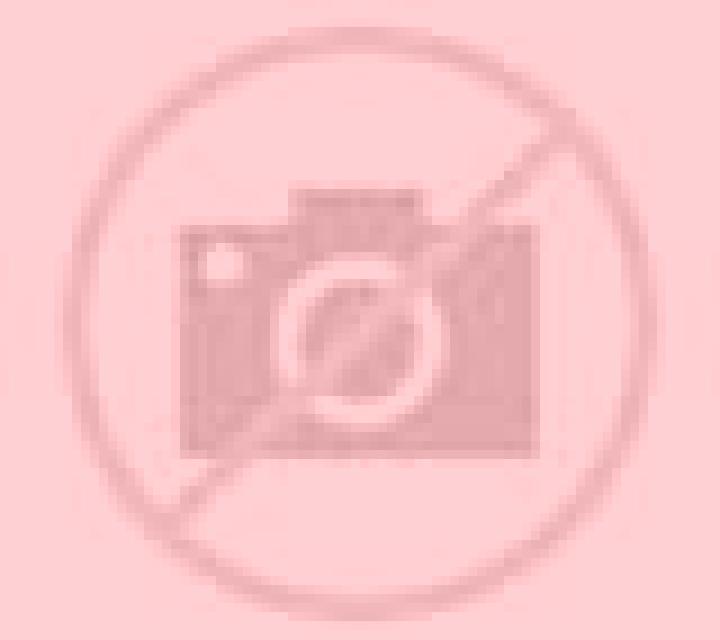 Andrea Guimar escort
