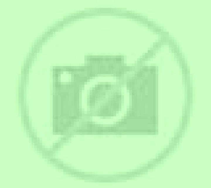Antonella 2 Tosantos escort