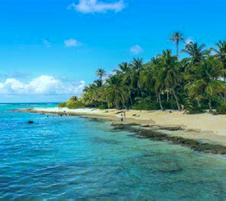 Antonella Sidamon escort