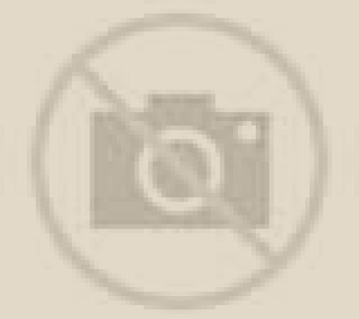 Beatriz Almoster escort