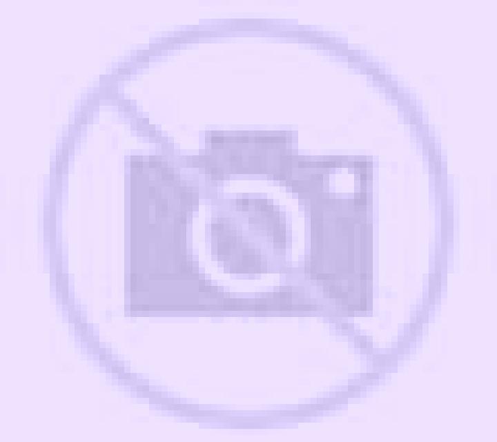 Beatriz Los Morillas escort