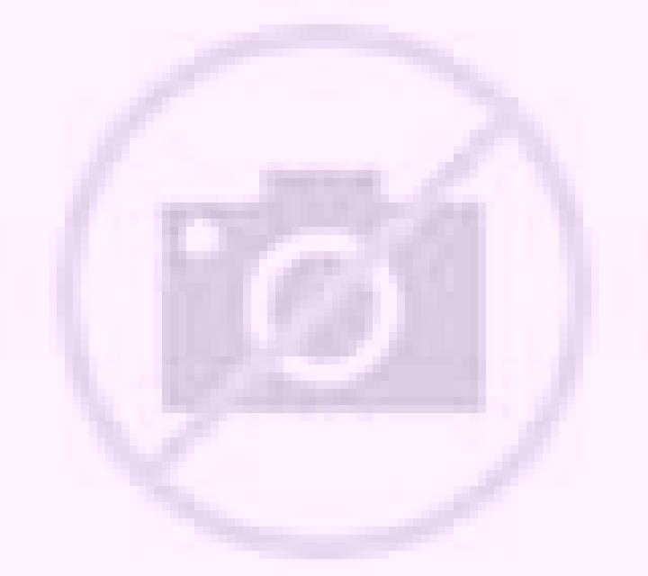 Bianca Almansa escort