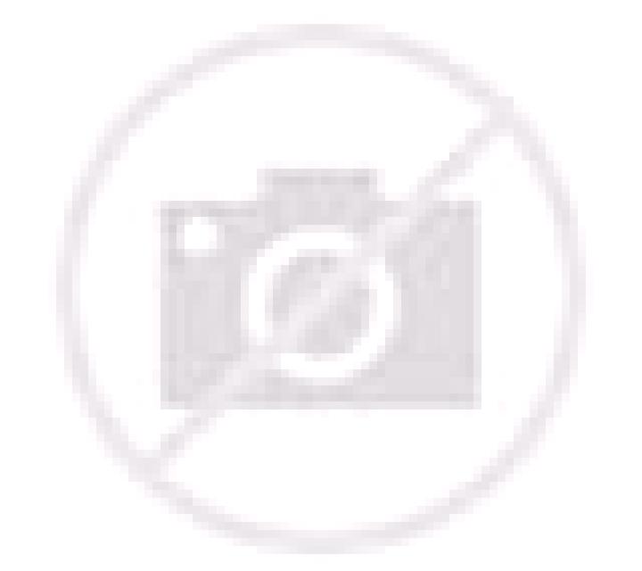 Camila Agurain / Salvatierra escort