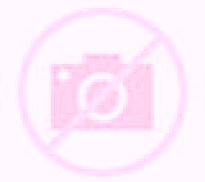 Camila Baranain escort