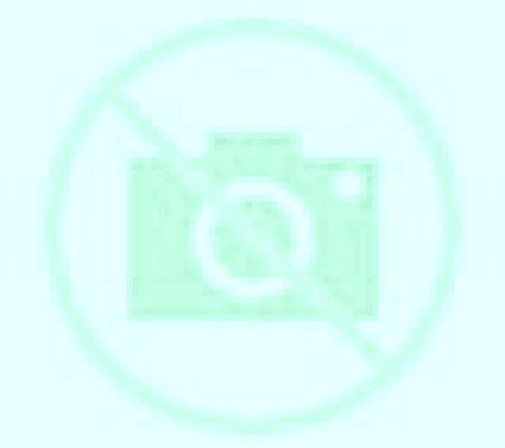 Camila Castellana escort
