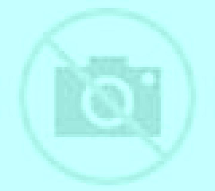 Camila Masalaves escort