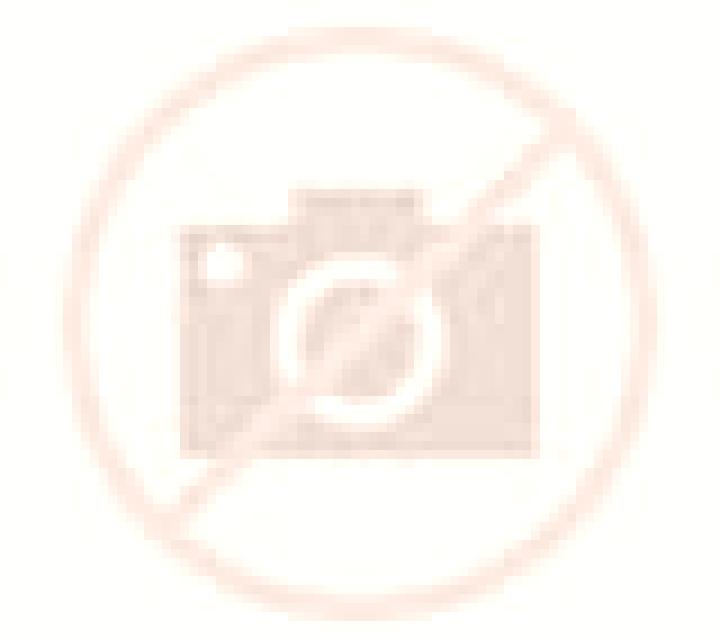 Camila Palmanova escort