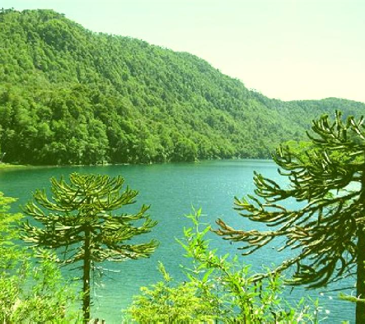 Carla 3 Bellcaire d Urgell escort