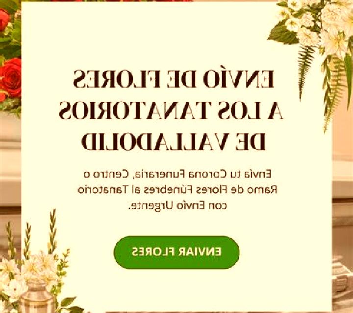 Carla 3 Ilche escort