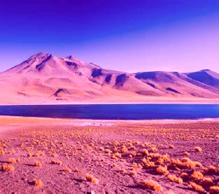 Carmen 2 Cortes de Aragon escort
