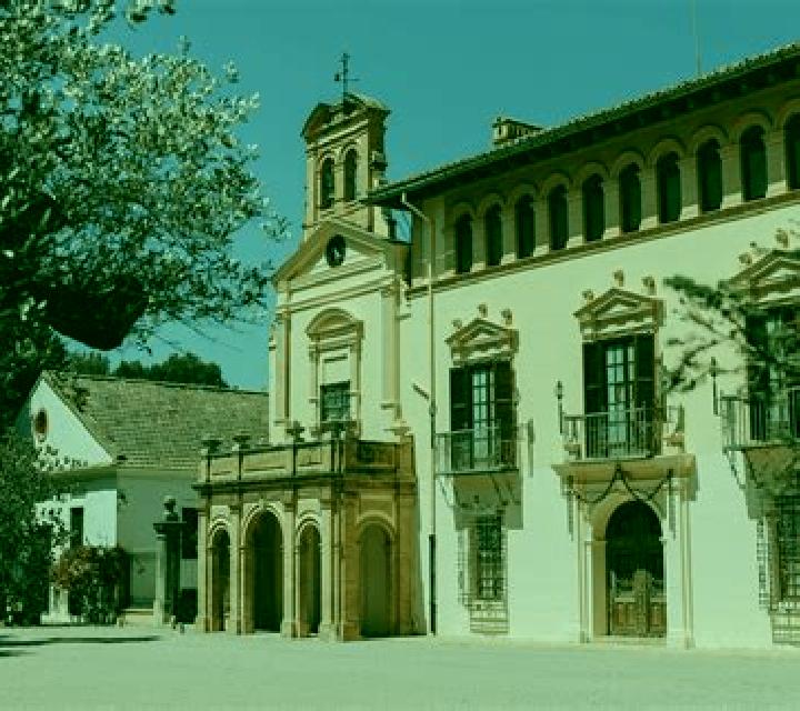 Cielo 2 Villar de la Encina escort