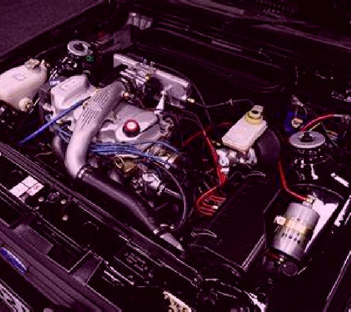 Cielo Magacela escort