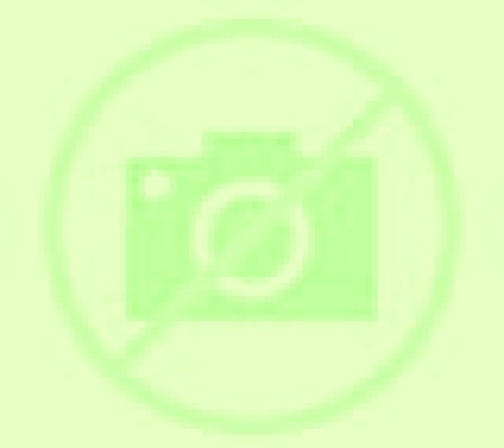 Claudia Liencres escort