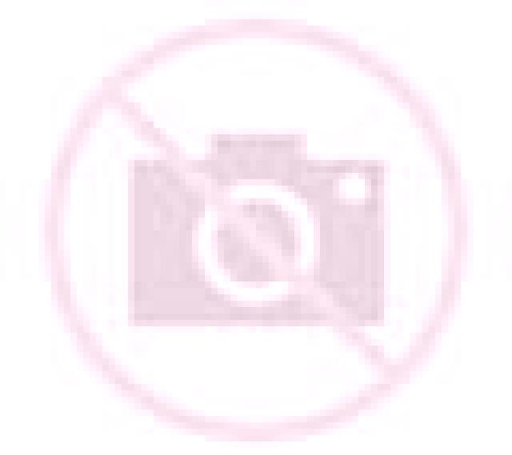 Daniela Sils escort