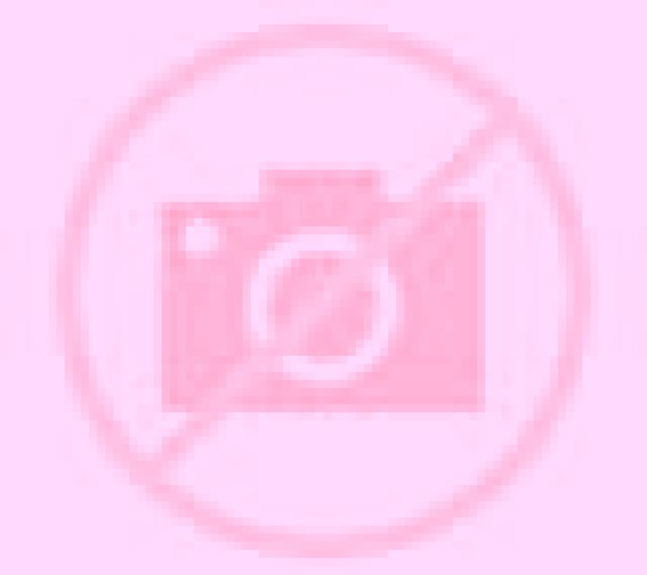 Diana 2 Toen escort