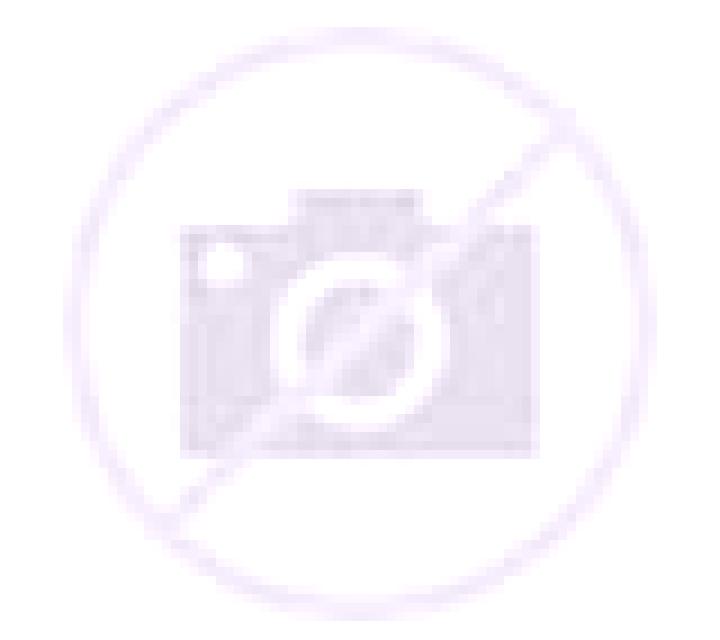 Diana Maracena escort