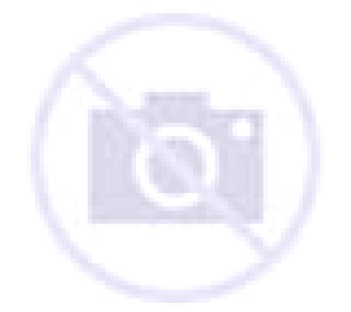Elena 3 Fariza escort