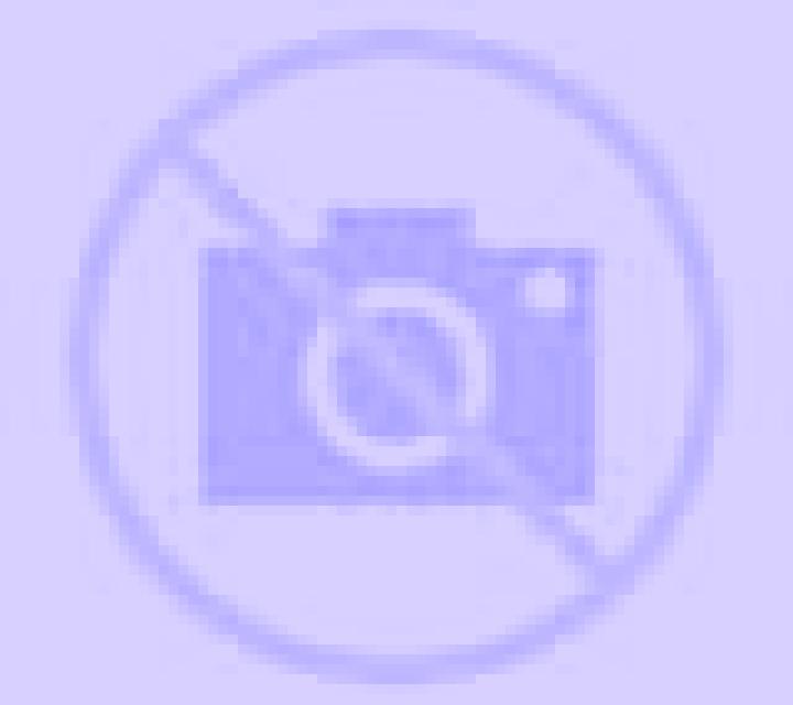 Elena Garcirrey escort