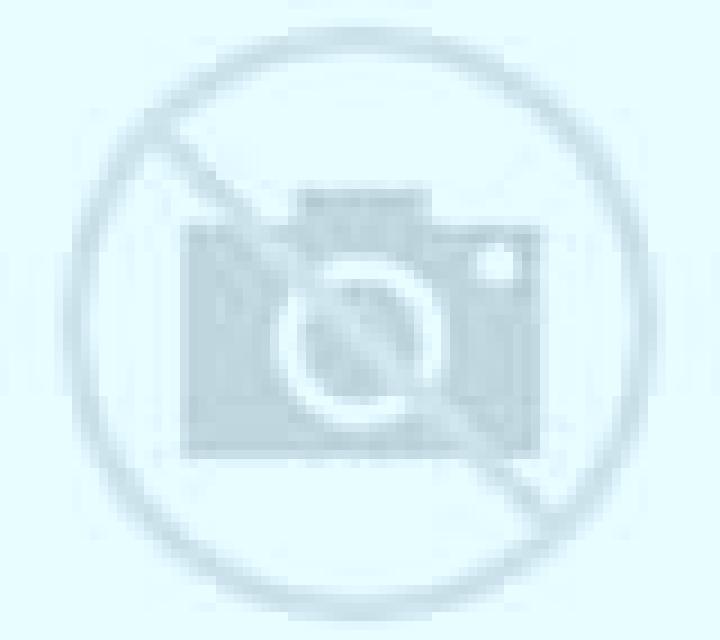 Estrella 2 Donvidas escort