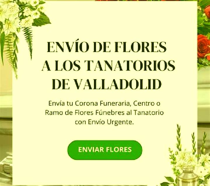 Estrella Torrejon de Velasco escort