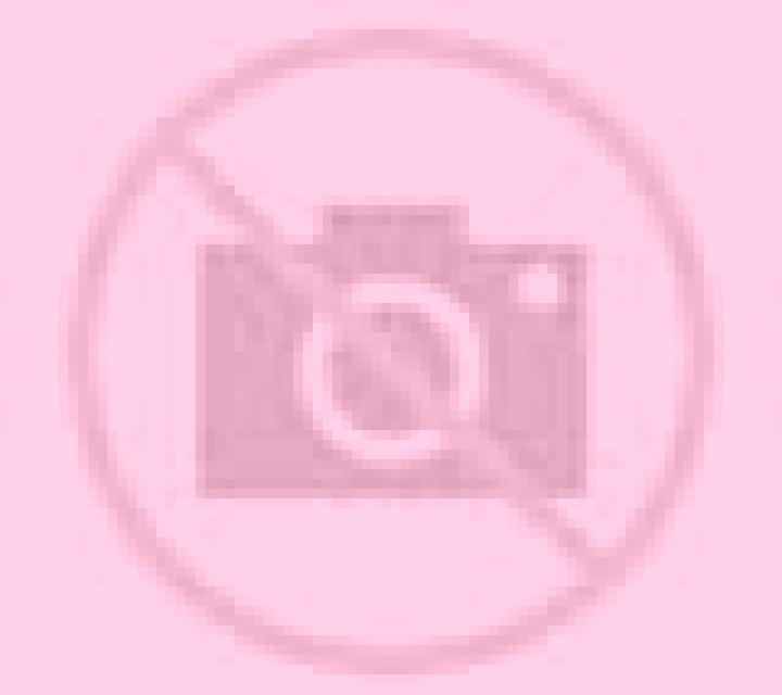 Florencia 2 Sagas escort