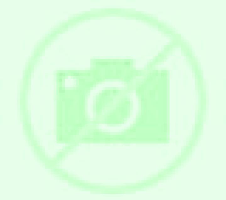 Florencia 2 Samos escort