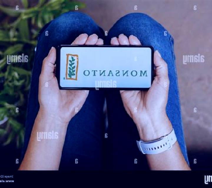 Florencia 2 Tavernes de la Valldigna escort