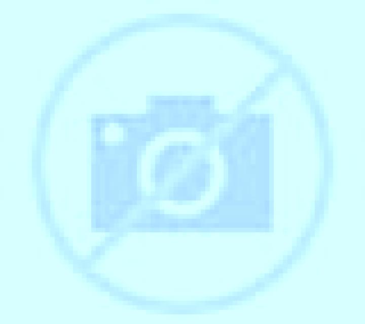 Florencia Amposta escort