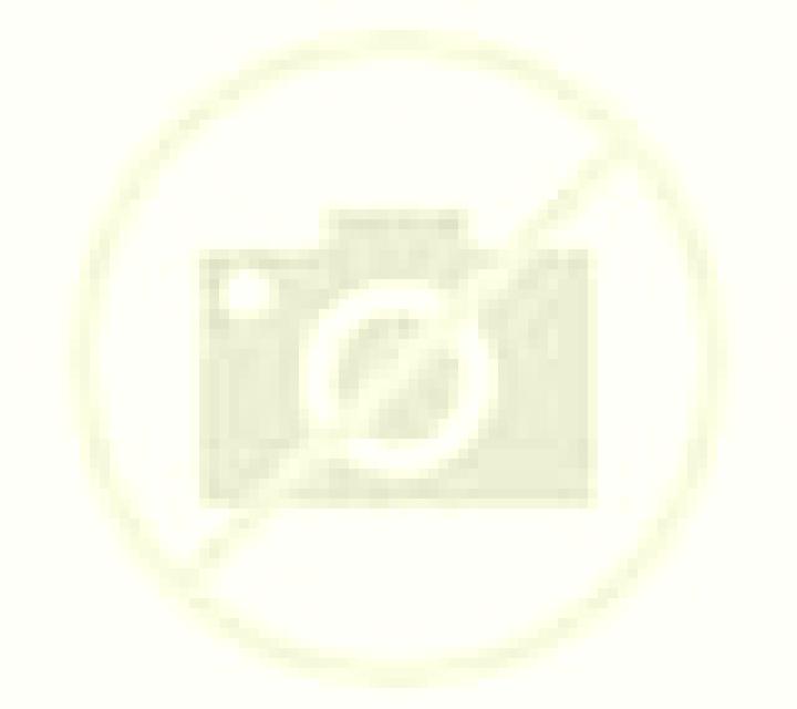 Florencia La Guancha escort