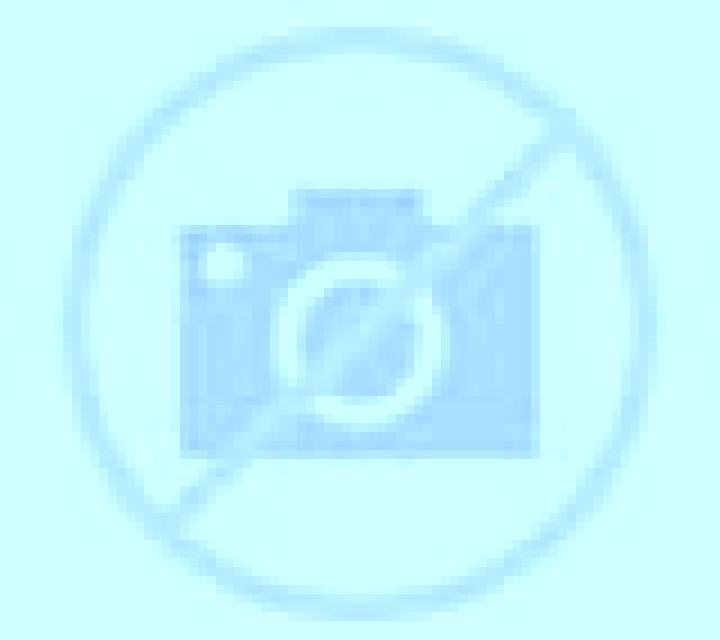 Florencia Olves escort