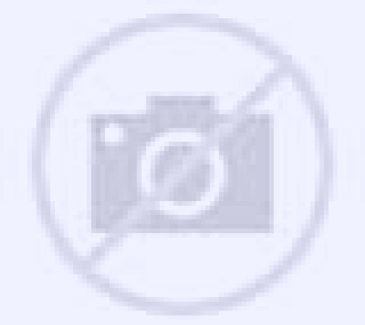 Florencia Rairiz de Veiga escort