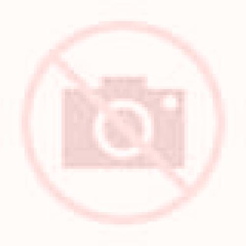 Florencia Saelices de Mayorga escort