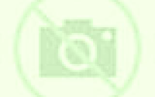 Giulia Hondon de los Frailes escort