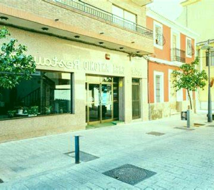 Irene 3 Cedillo del Condado escort