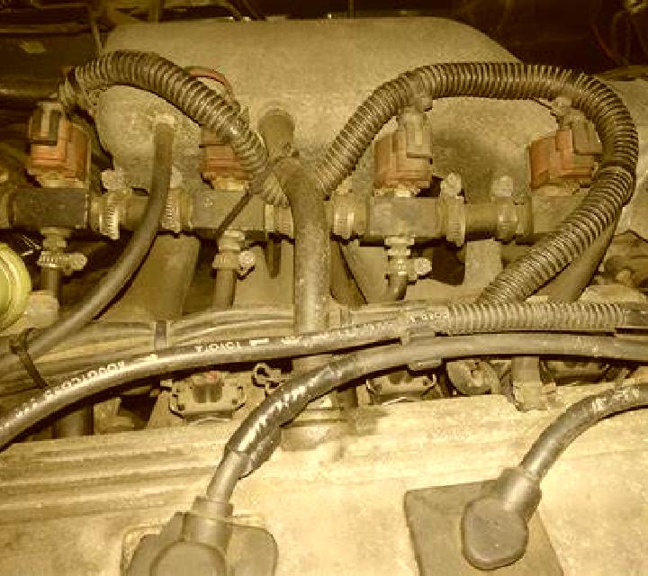 Isabela 3 Los Molares escort
