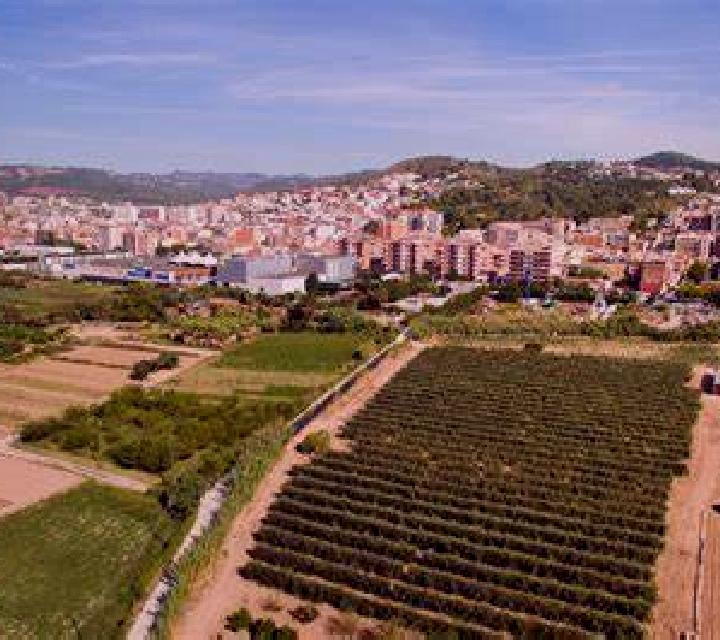 Isabela 3 Sant Vicenc dels Horts escort