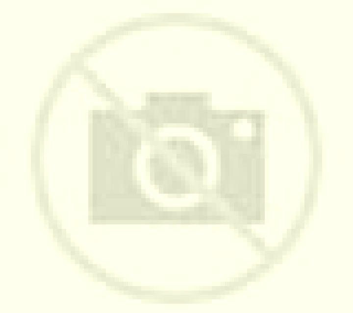 Jade 3 Brenes escort